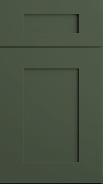 Elegant Evergreen Door