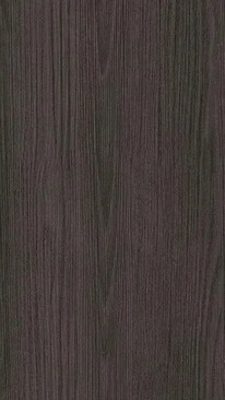 Carbon Frozen Wood Textured Door