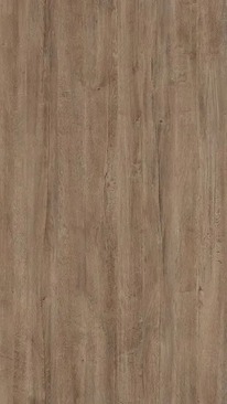 Lakeland Oak 03 Textured Door