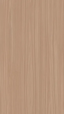 Picaso Textured Door